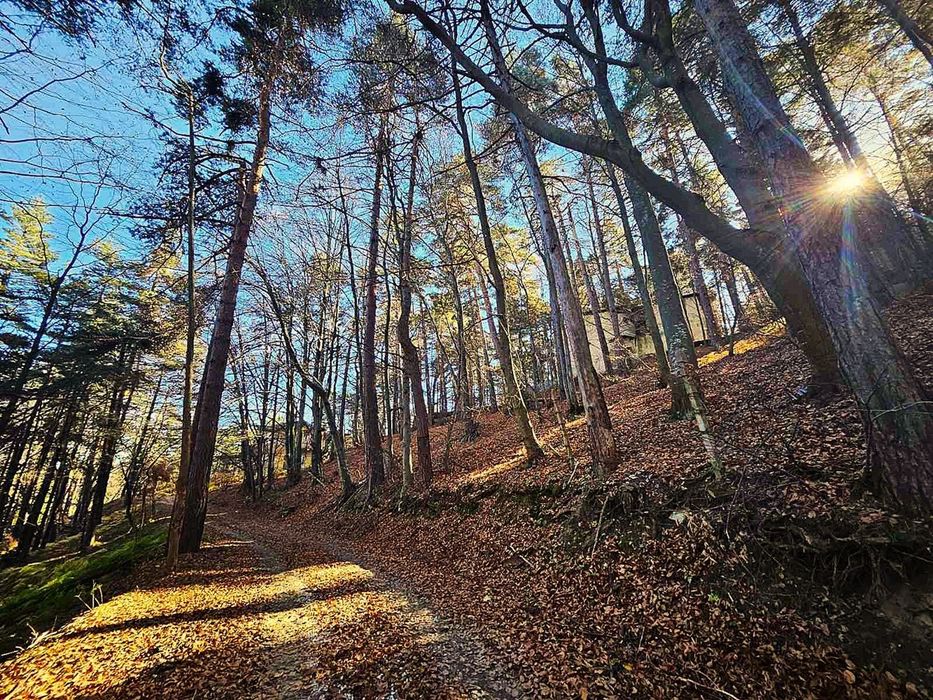 Земеделска земя 1 757 кв.м до последните къщи на Бойково – местност Ф