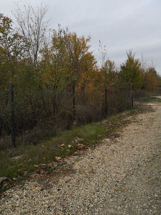 Vand teren Corbeanca Laguna Albastra 624mp 85000 Euro