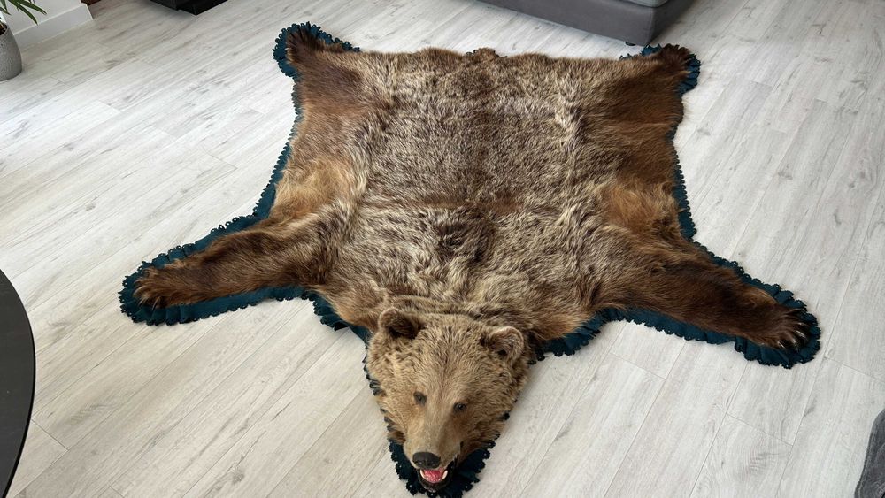 Trofeu covor blana urs