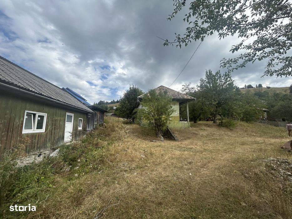 Teren intravilan de vânzare, 5000 m
