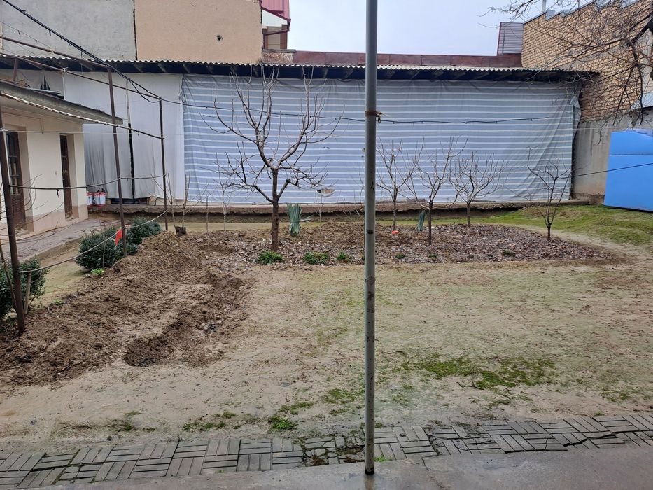 Toshkent shaxar Uchtepa tumani orikzor maxxalas