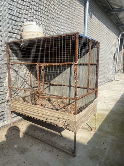 Tovuq quyon uchun in