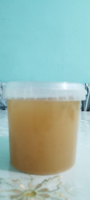 Мёд из верблюжьей колючки