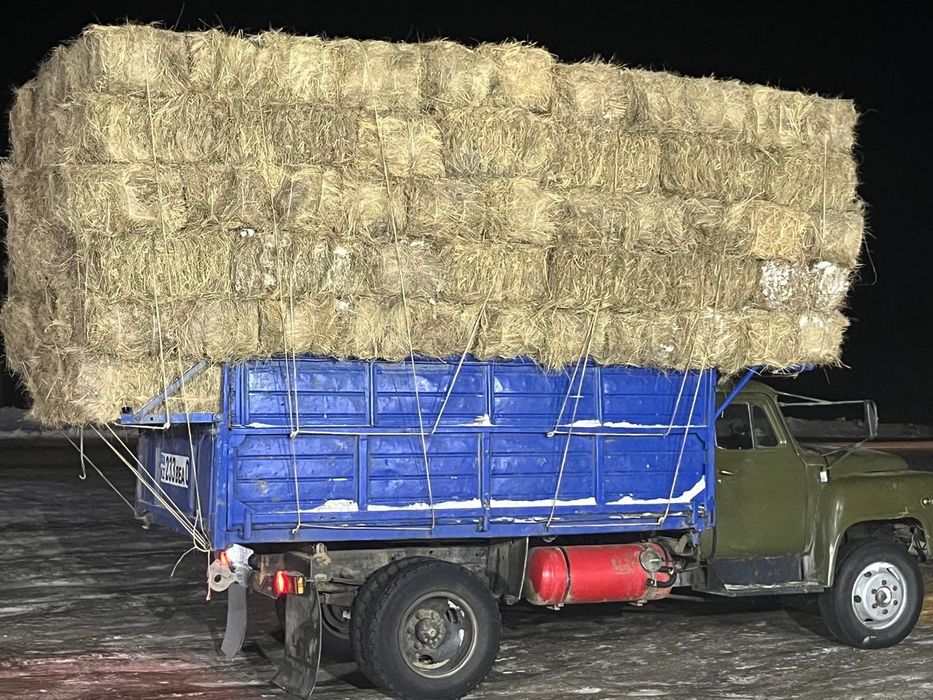 Продам сено тук  1 штук 950тг шөп сатам түк 1 штук 950