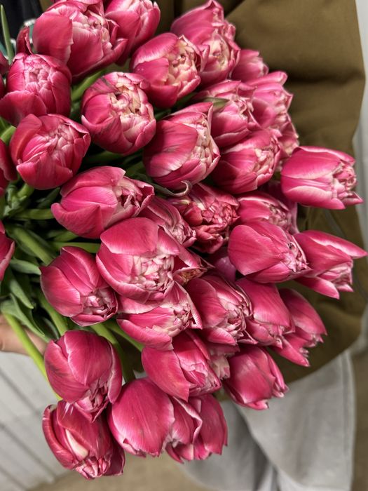 Тюльпаны оптом.