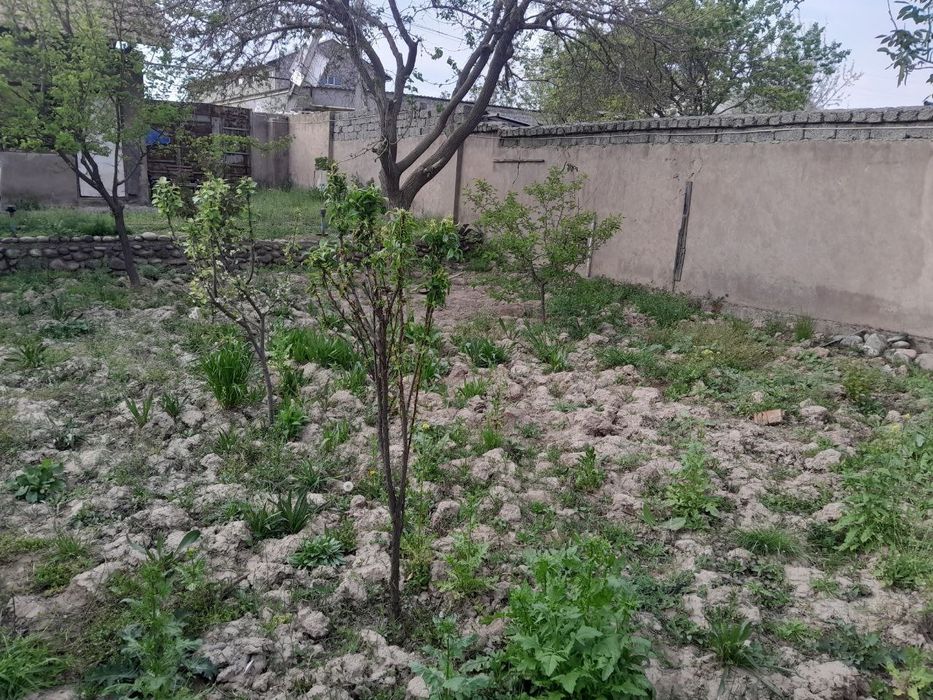 Sro'chna prodayotsya 8.5+8.5 soti dacha kak zemlya prodayotsya.