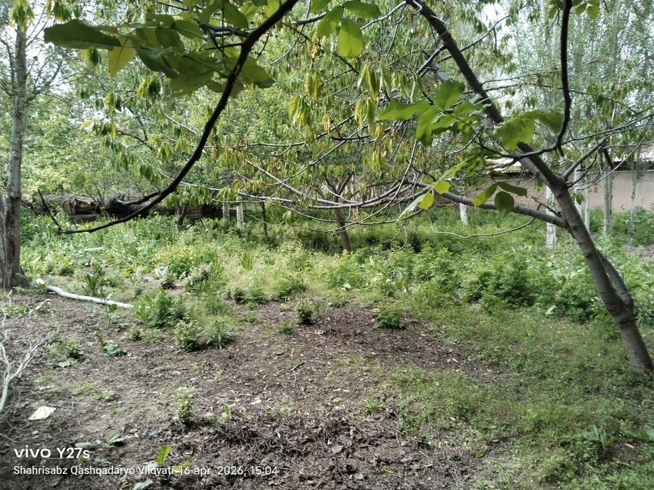 Quruq er maydoni sotiladi