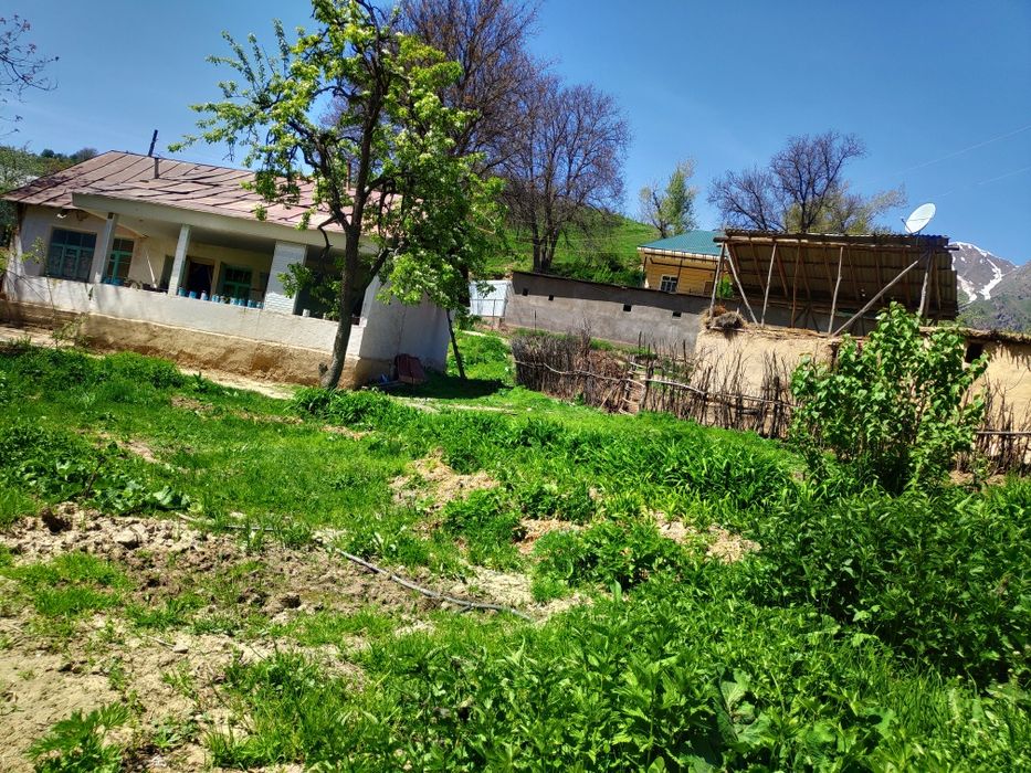 Uchastka sotiladi, Nefrit ko'liga yaqin joyda joylashgan