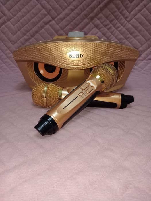 Портавиыная уолонка и два микрофона