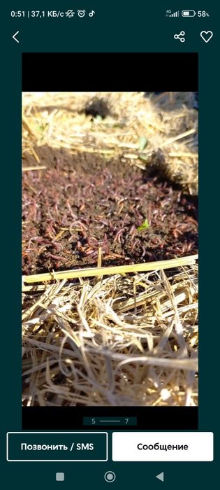 Биогомус минерал угит удобрения 100 фоиз Тоза ювилган махсулот