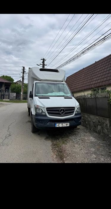 Autoutilitara Mercedes Sprinter Cub-Frig