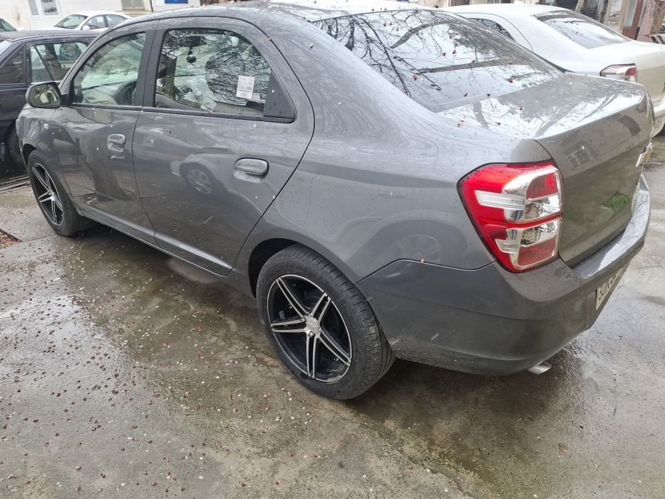 Продам кобелт 2016 викубга бераман