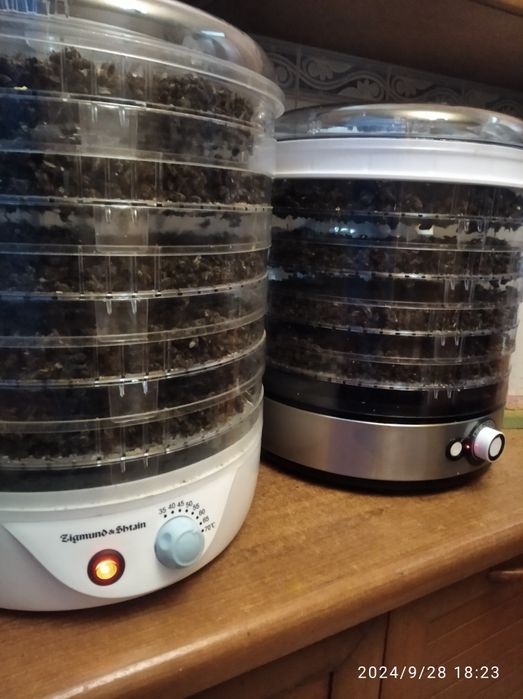 Сушёные пчёлы...