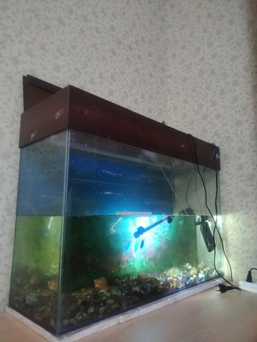 Аквариум 50л со столом