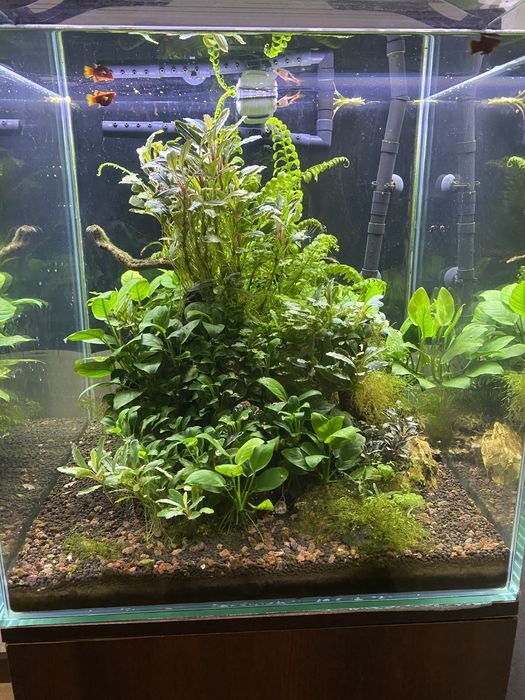 Аквариум 350 у.е