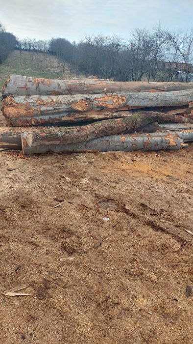 Lemn de foc esență tare sau diferite esențe cluj