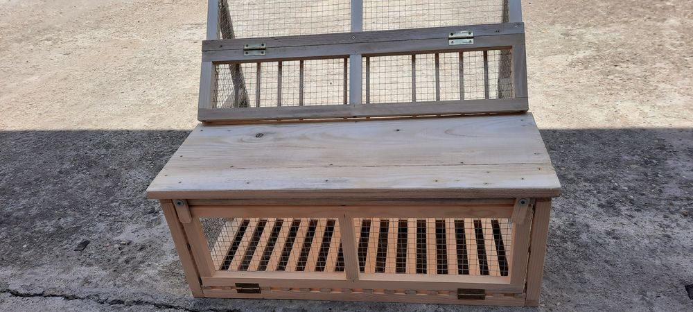 Sputnic intrare porumbei