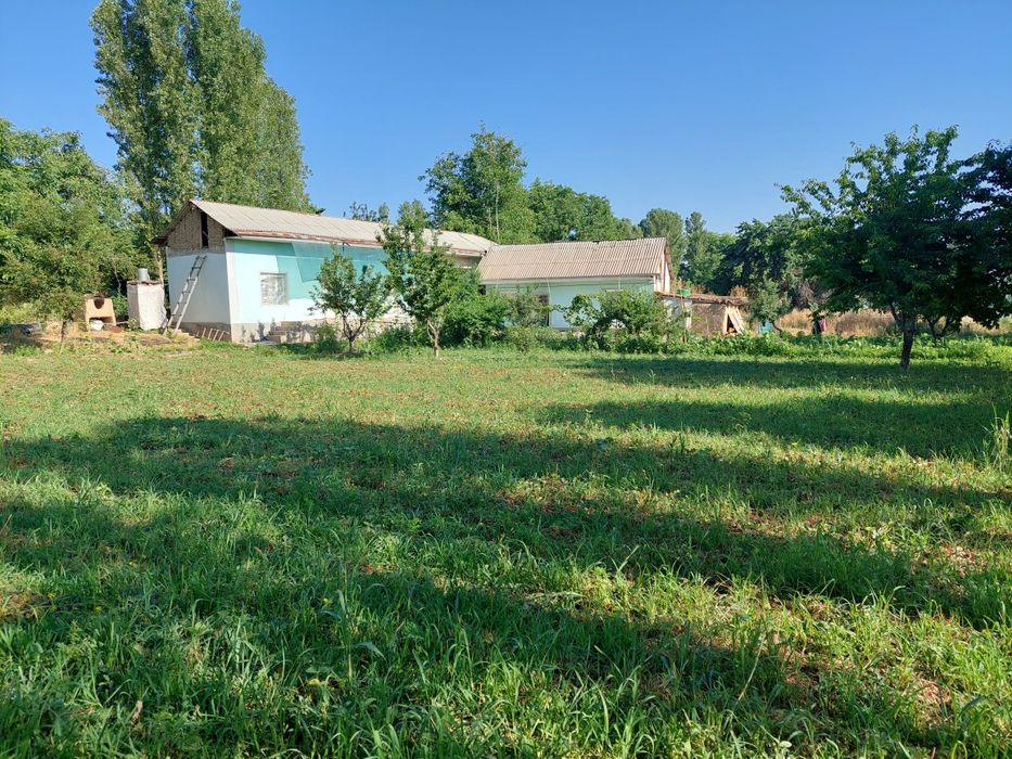 Ховли сотилади тошкент влояати яанги йул туманида