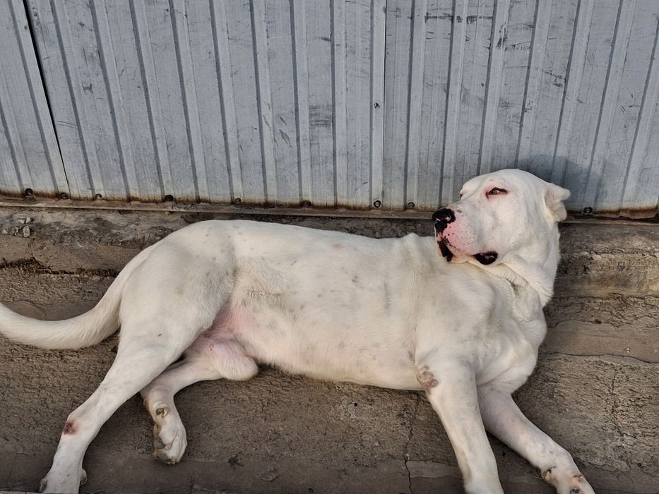 Открыть на ВЯЗКИ