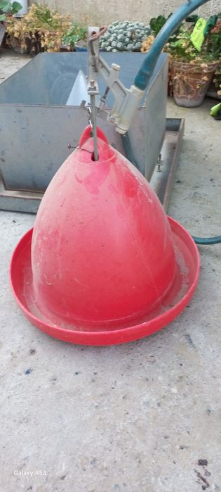 Броллер товук бокиш учун молжалланган