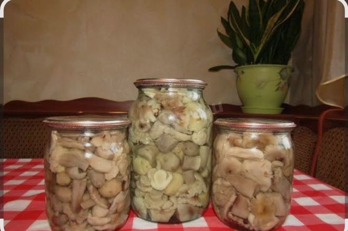 Продам грибы,маслята.