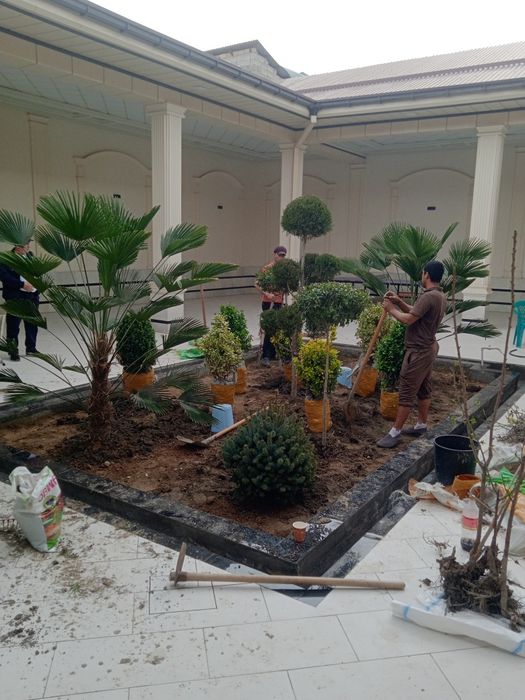 Gazon landshaft dizayn bogbon sadovnik archa strijka xizmati