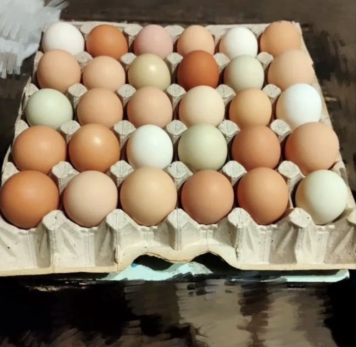 Домашние яйца 750