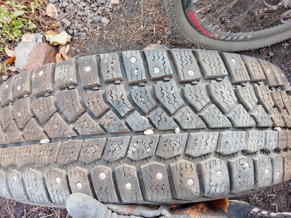 Продам 4 зимних болона