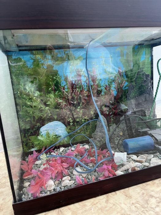 Аквариум для рыб