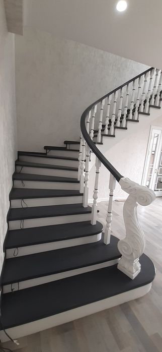 Лесниса лесниса  lesnisa