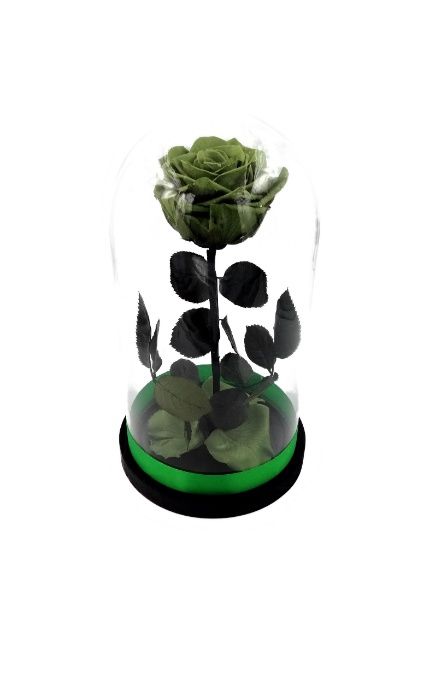 Trandafir Criogenat BiaRose mare 9cm in cupola mare de sticla 28-30cm