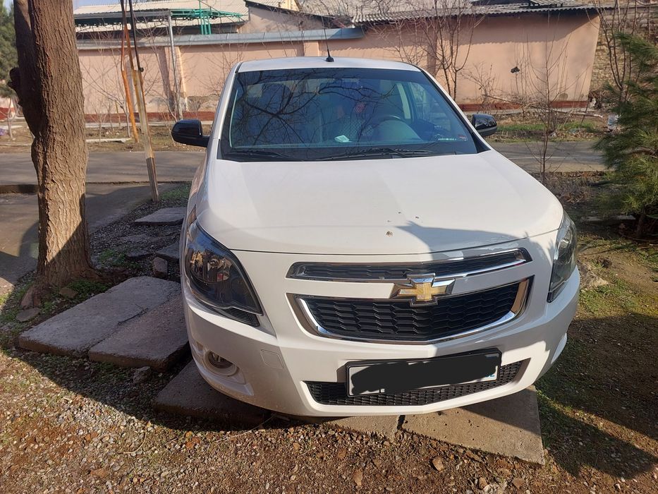 Cobalt midnight 2025