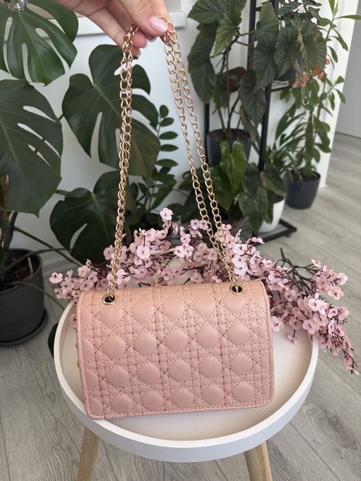 Geanta roz pudra Dior