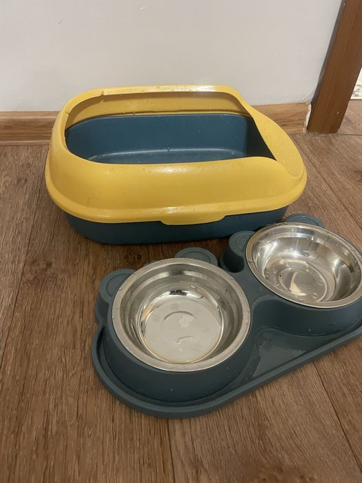 лоток и миски для котят