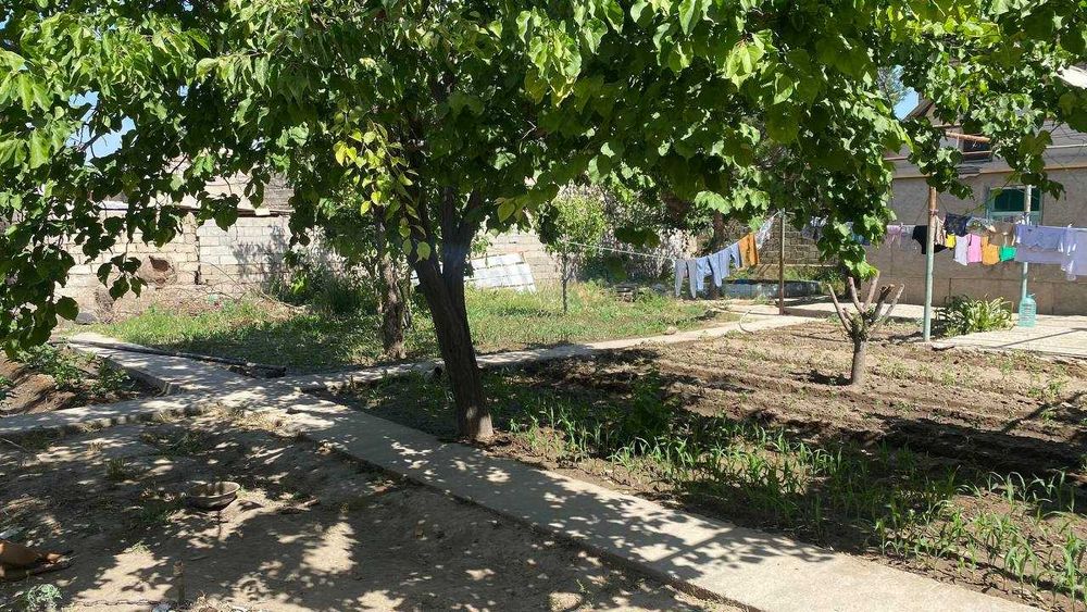 Dacha sotiladi navoiy shahar