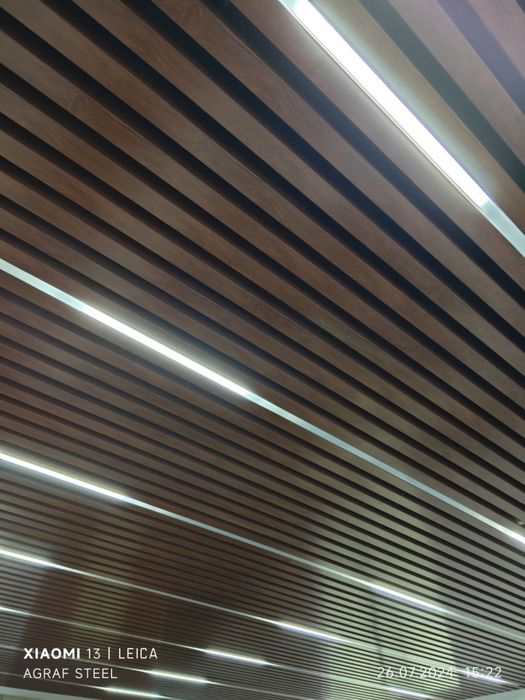 Reechiny griliata potolok grilyato reyechniy setkali kletkali PC-13