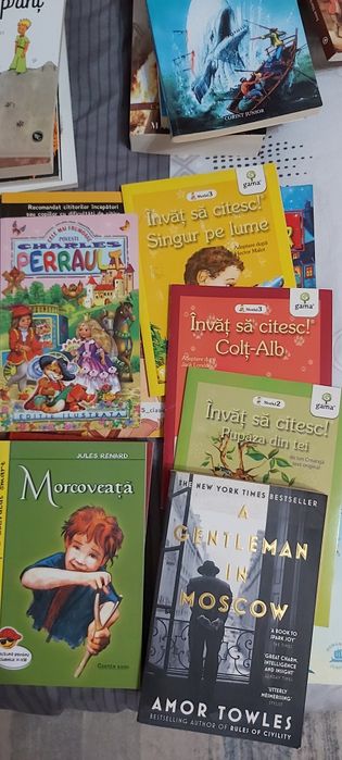 Carti copii/adolescenti, lectura scoala: multe carti