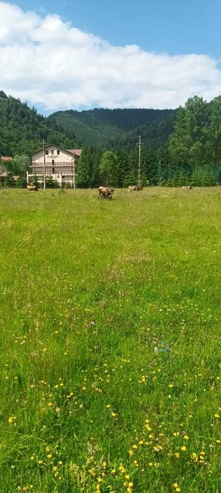 Teren de vanzare, Saticul de Sus, 2000 mp