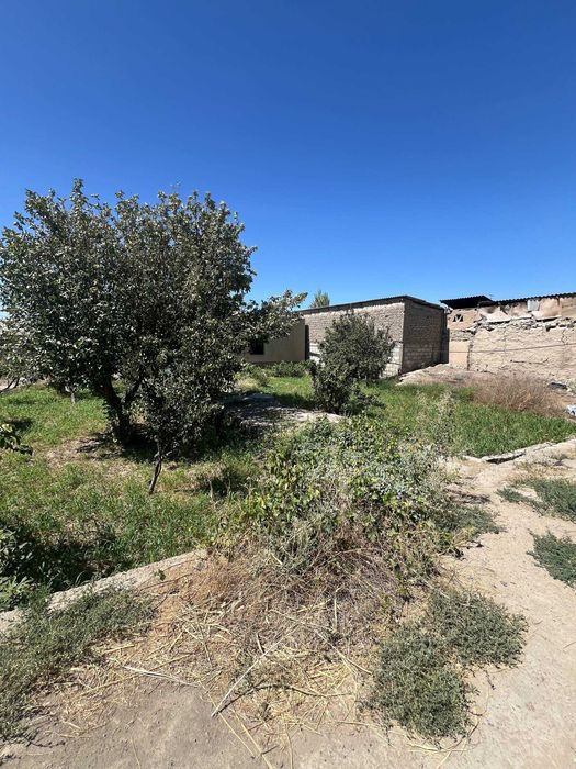 Arzon Xovli sotiladi Qiziltepa Toshrabot