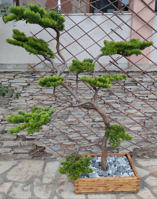 Ръчно изработен японски стил бонсай уникат.