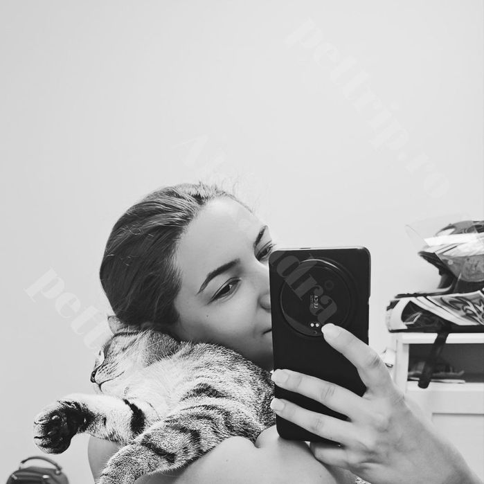 Cazare animale/Pet sitter/Plimbare căței/Vizite la domiciliu/Pet Hotel