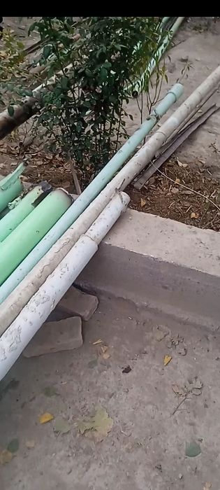 Труба фрутлар бор