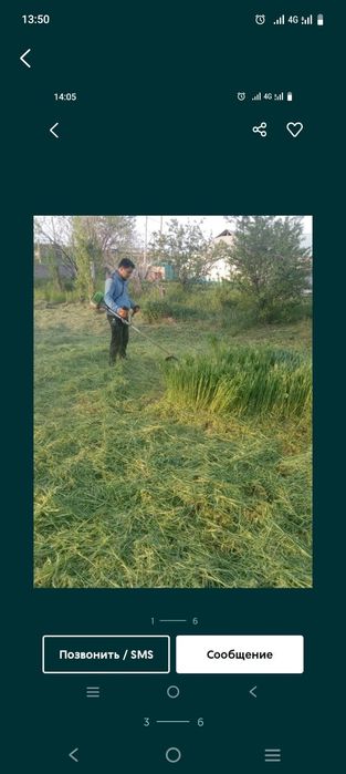 Шоп ору газон егу.