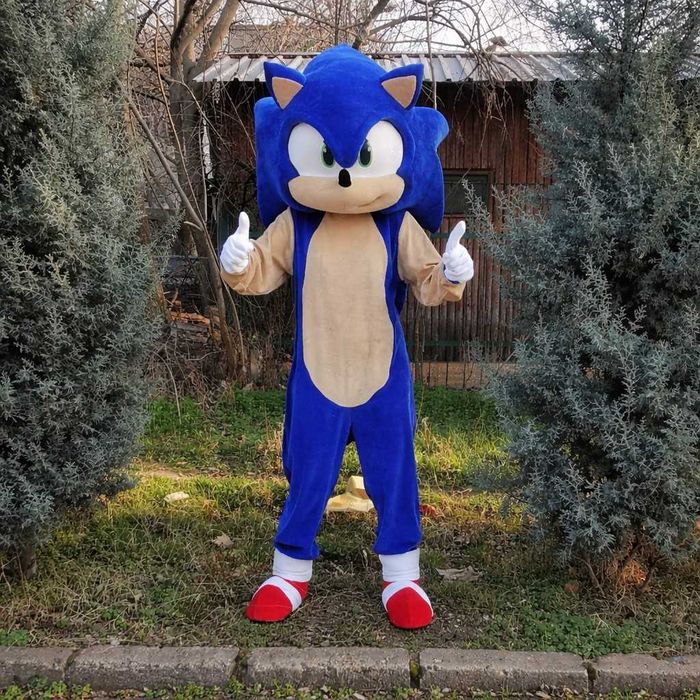 Costum mascotă Sonic the Hedgehog albastru profesional adult