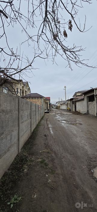 Дурмень цен.3сот.ер.