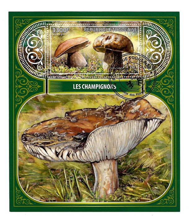 Super set de invatare a filateliei set colite tema ciuperci de padure ghebe manatarci bureti 25 lei colita 200 lei setul