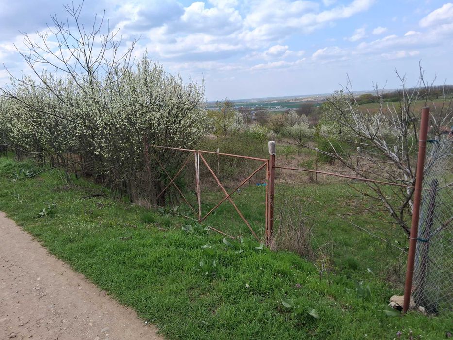 Teren casa in Episcopia Bihor suprafata 1000 mp , dublu front stradal , utilitati , intre case locuite