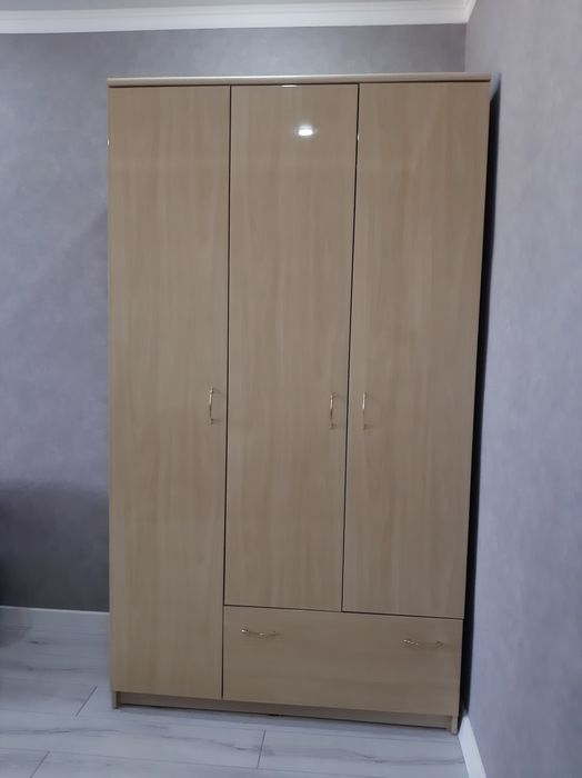 Шкаф 2м20см×1м20см×60см.