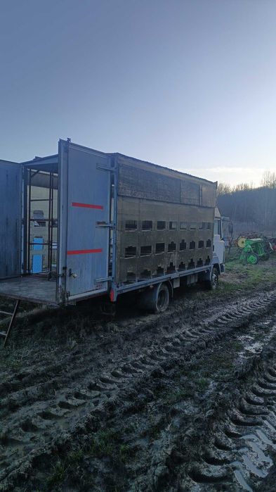 Vând Nissan Apicol 3,5 tone