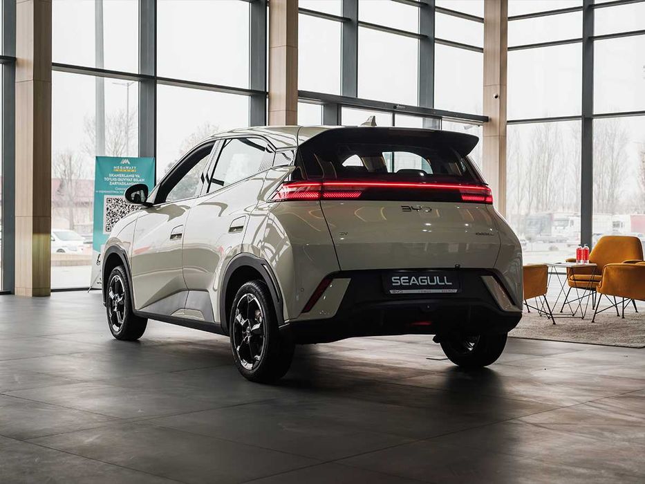 SEAGULL ( 405 KM Flying )